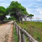 Bright Escape Near The Beach