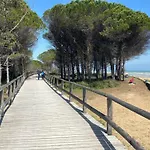 Bright Escape Near The Beach