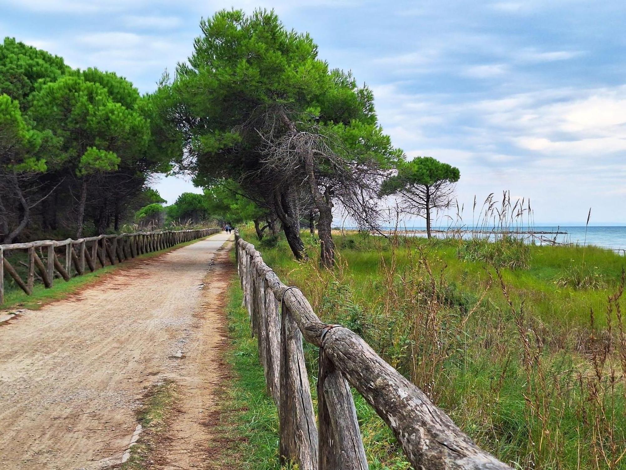 Appartamento Bright Escape Near The